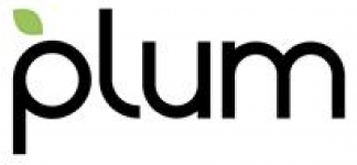 Plum Acquisition Corp I ECM- Mar21